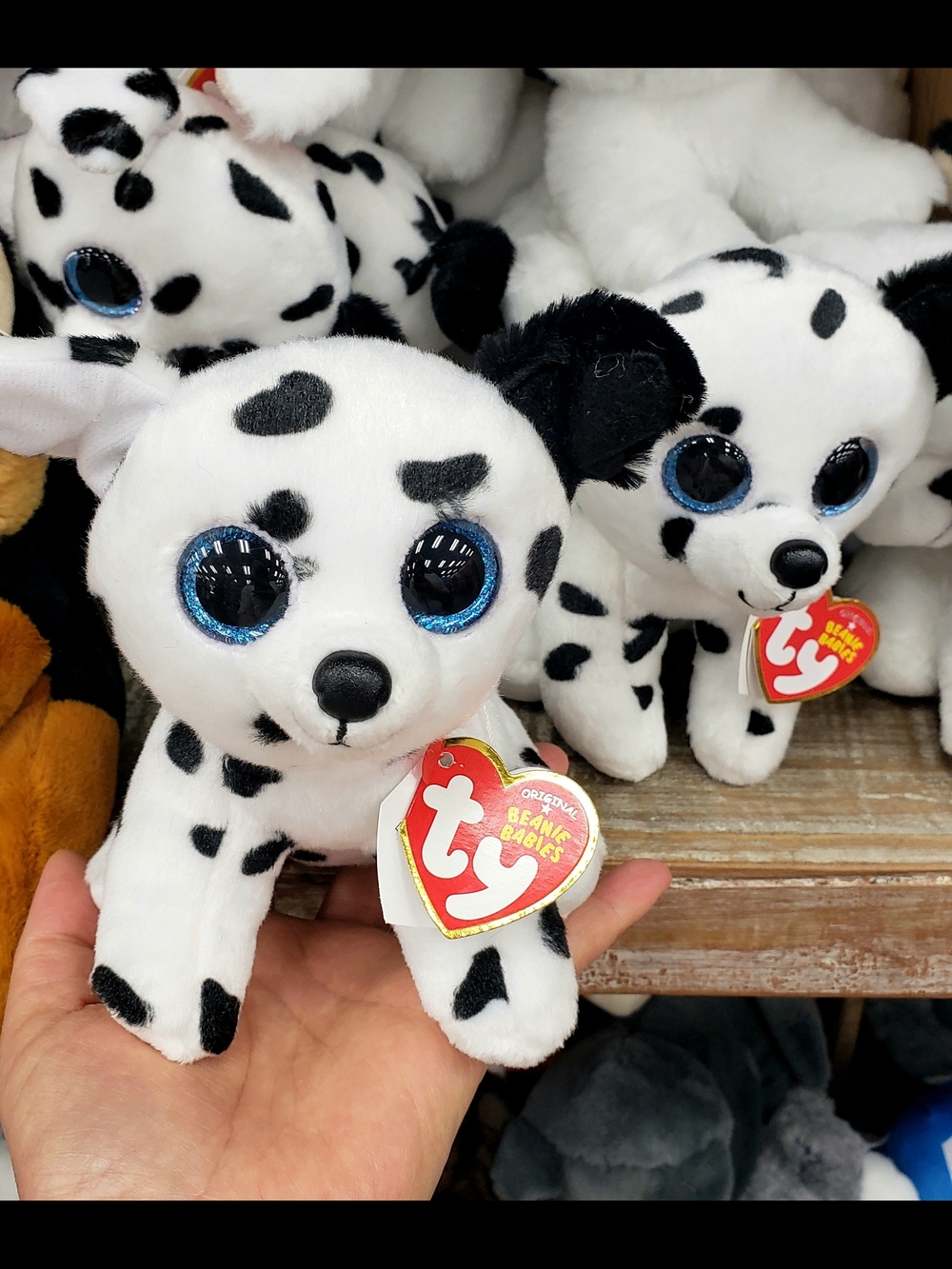 Ty Beanie Dalmatian Plush with Blue Sparkle Eyes